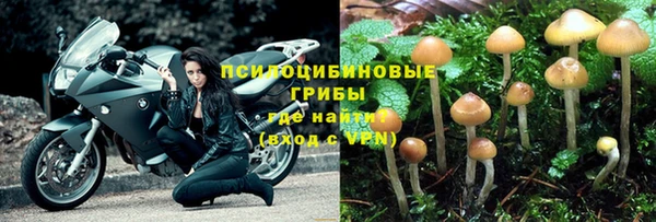 первитин Арсеньев