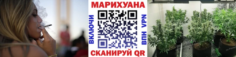 Купить где  Белая Калитва  Конопля VHQ 
